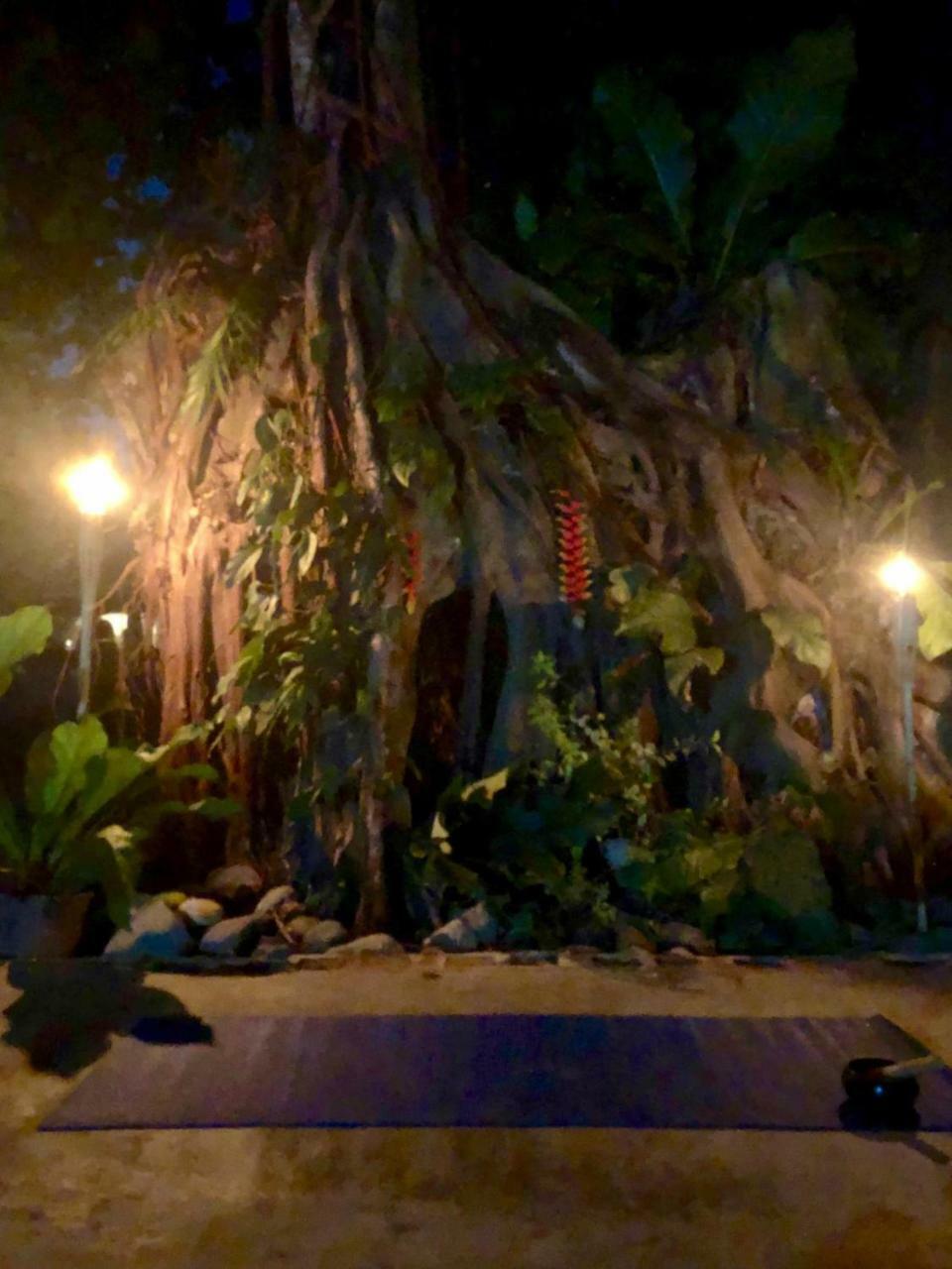 Jaco Inn Dış mekan fotoğraf